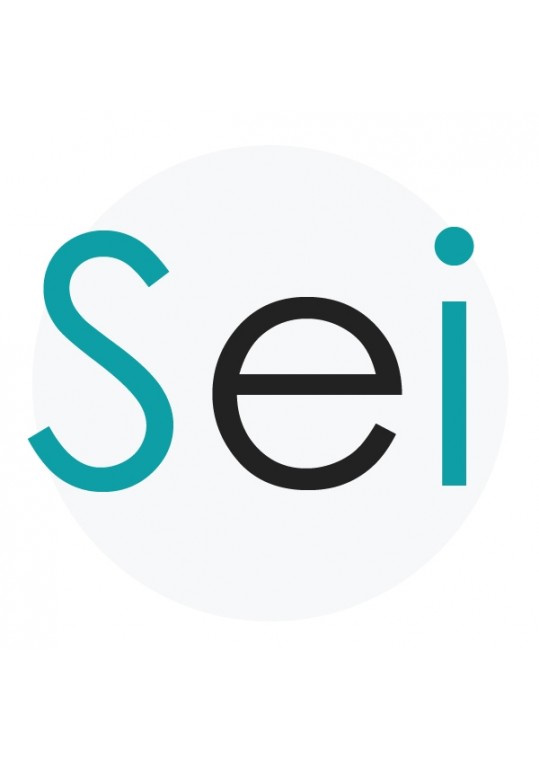 SEI Ltd