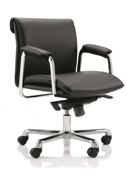 Delphi Low Back Swivel Chair